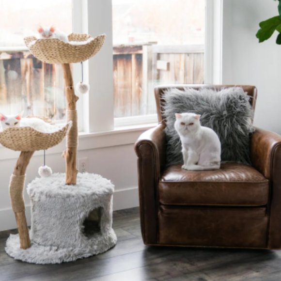 Custom Real Wood Cat Tree - Picture 4 of 10